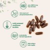 Sunflower Lecithin 1600mg Cold Pressed Rich in Phosphatidyl Choline 300