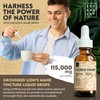 Lions Mane Supplement - High Strength 115,000mg Lions Mane Extract