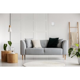 Stelpro Non-Programmable Electronic Thermostats for Fan Heaters and Fan-Forced Units - White (ST252NPFF - 2500W)