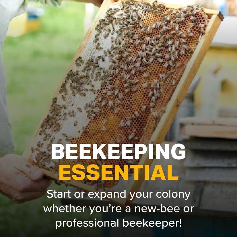 Mann Lake Premium Beekeeping Frames, Fully Assembled, Deep Rite-Cell Hive