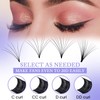 Easy Fan Volume for Lash Artists: Wendy, Handmade Fans for