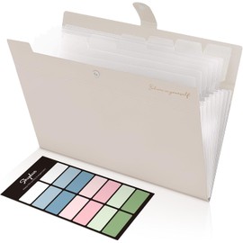 SKYDUE Carpeta archivadora A4, carpeta de documentos con 8 compartimentos, carpeta A4, carpeta de archivos, carpeta organizadora para oficina, hogar, escuela, documentos (marrón claro)