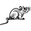 A7 'Rat' Unmounted Rubber Stamp (RS00032308)