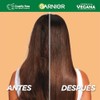 Garnier Fructis Hair Food Coco Mascarilla Reparadora Cabello Dañado 350