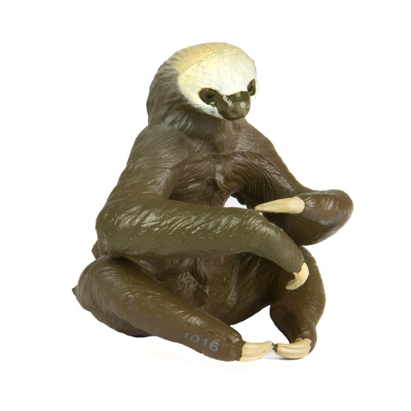 Safari Ltd. Two-Toed Sloth- Realistic Hand Painted Toy Figurine Model