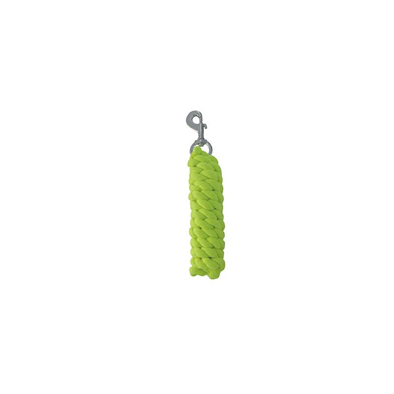Rhinegold Neon Leadrope