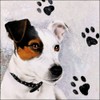Ambiente Lunch Napkin 33 x 33 cm Jack Russell Jack