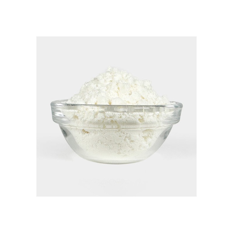 O'Herb Whey Protein Isolate Powder 500g Protein Supplement / 분리