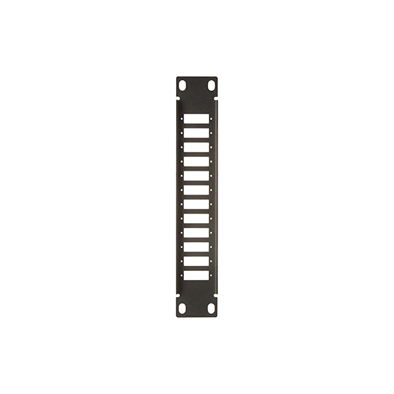 Delock 10 Inch Fibre Optic Patch Panel 12 Port for