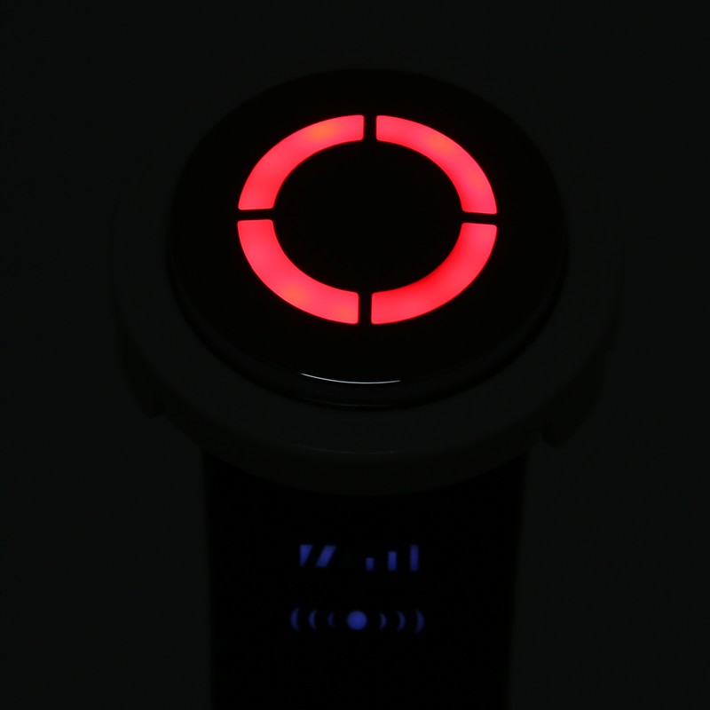 Facial Massage Cleansing Skin Rejuvenation Machine Adjustable Red Blue Light