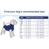 MPS Medical Pet Shirt Dog, Surgery Recovery Suit, Zebra-Print, Medium