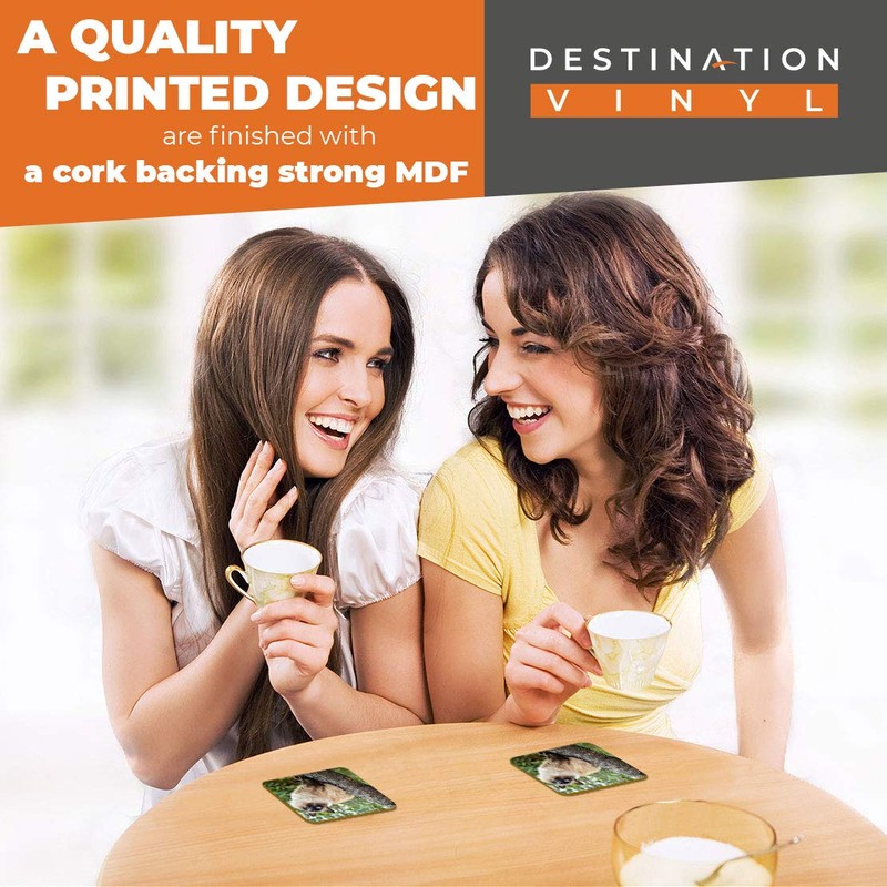 Great Coasters (Set of 2) Square/Glossy Quality Coasters/Tabletop Protection for