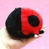 munyumamu Ladybug Plush Medium