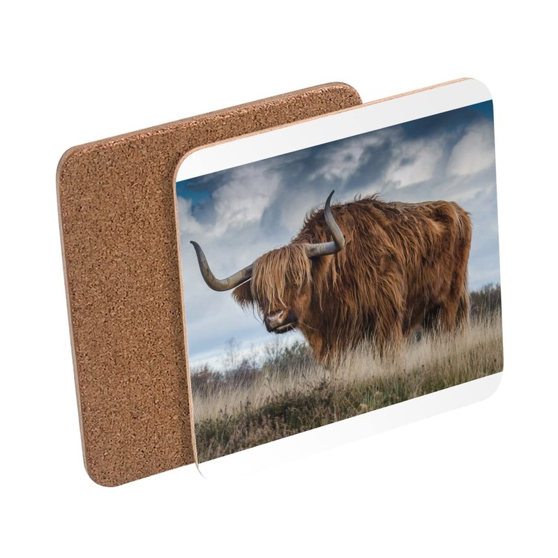 Cork Coaster - Bull Highland Gorgeous Animal Wildlife Photo Meadow