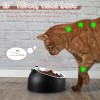 Irenare 4 Pcs Raised Cat Food Bowls Stainless Steel Tilted