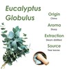 Heavenly Pure - Eucalyptus Essential Oil 16 oz Large Bottle