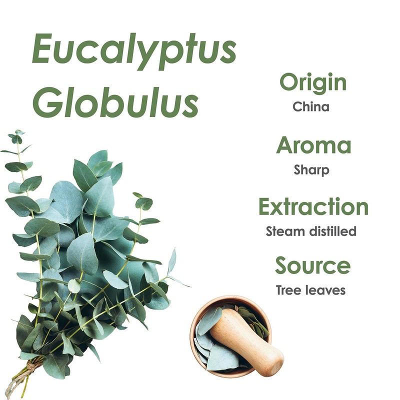 Heavenly Pure - Eucalyptus Essential Oil 16 oz Large Bottle
