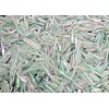 ALL AMERICAN Tournament Quality Soft Plastic Baits 50ct RAINBOW TROUT