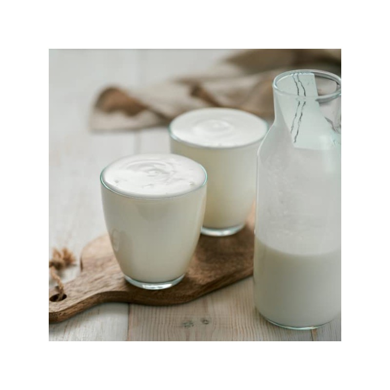 Freshly Fermented – Meso Organic Certified Freeze Dried Yoghurt Starter