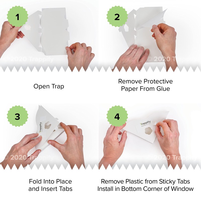Trappify Fly Trap Indoor: Window Fly Traps for Home |