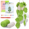 kdafio Crochet Kit for Beginners, Hanging Potted Plants Crochet Starter