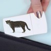 'Jaguar Stare' Pill Box with Tablet Splitter (PI00034623)