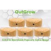 Out Grow Sterilized Popcorn Grow Bag (25lbs)