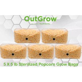 Out Grow Sterilized Popcorn Grow Bag (25lbs)