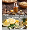 Fragrant Incense Sticks (Made in Japan) "Frankincense & Citrus" J0480585