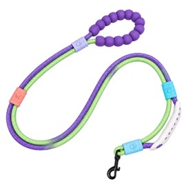 EffiBrill Hands Free Dog Leash, Double Handle Leash 6.5FT Purple-Green