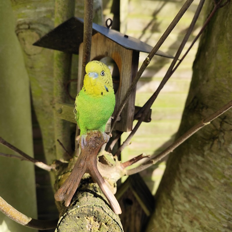 Vivid Arts - Budgies Garden Ornament Bird Sculpture (Budgie, Green)