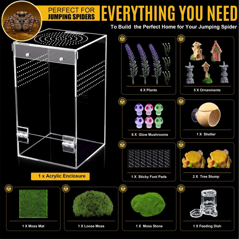 Feekoon Large Jumping Spider Enclosure Kit, Acrylic Insect Terrarium