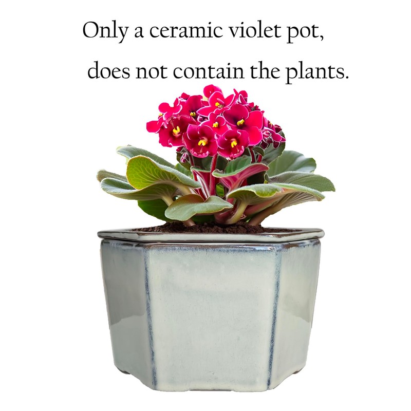 Dphagesy African Violet Pots 6 inch Hexagon Self-Watering Ceramic Violet