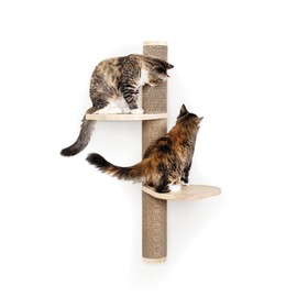 Cat Climbing Wall System – Modern Floating Shelves & Perches for Cats - Sunrise Steps | Ascentials by FurHaven