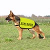 STAY BACK Dog Safety Vest, High Visibility Vest for Dogs,