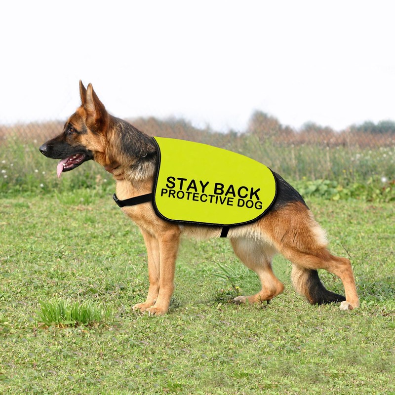 STAY BACK Dog Safety Vest, High Visibility Vest for Dogs,