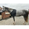 Ruggles Satin Anti Rub Bib for horses and ponies -