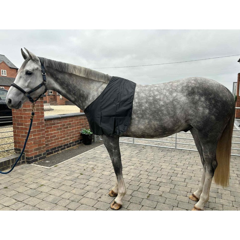 Ruggles Satin Anti Rub Bib for horses and ponies -