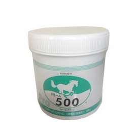 dream500
