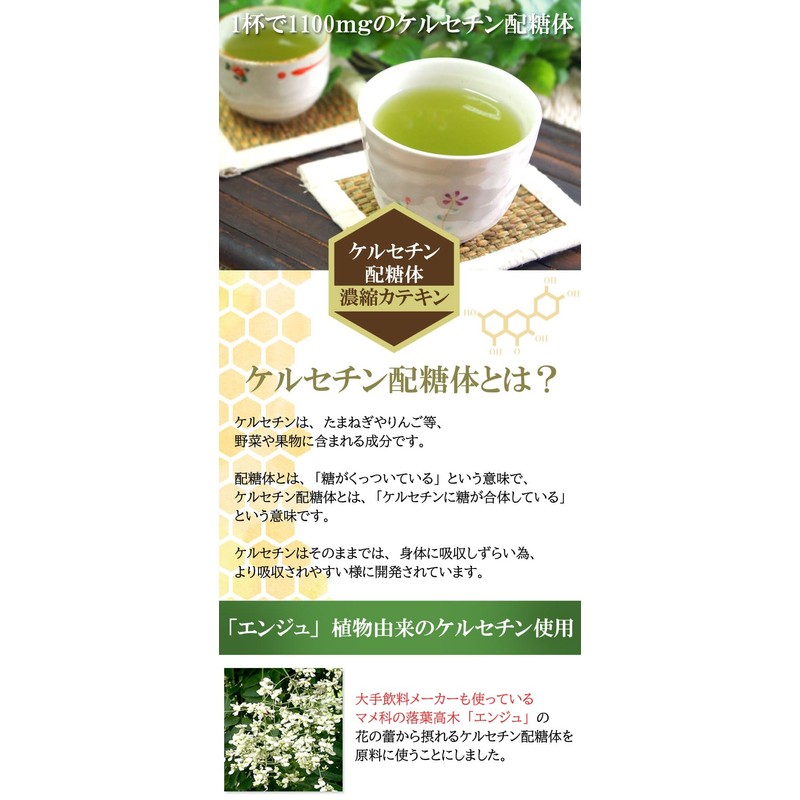 ケルセチン配糖体濃縮カテキン60g 緑茶 粉末 ケルセチン グリーンティー パウダー
