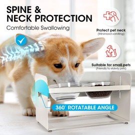 PETCOMO Elevated Dog and Cat Bowl Stand – Adjustable Height, White Steel Tilted Stand with 2 Glass Feeding Dishes for Food and Water - MK2070A