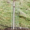 Fencer Wire 14 Gauge Galvanized Welded Wire Fence, 2" x