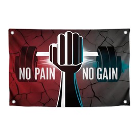 3x5 Feet Motivation Gym Flag with Quote "No Pain No Gain" with Four Brass Grommets - Inspire Your Workout with this Banner - Inspirational Stay Motivated Art - Fitness Flag for Indoor Wall Decoration