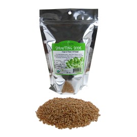 Handy Pantry Organic Wheatgrass Seeds | For Wheat Grass, Cat Grass, Food Storage & More | Hard Red Wheat (1 Pound)