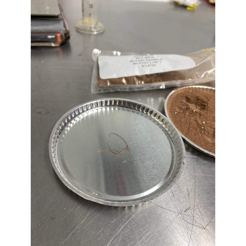 BULBINE NATALENSIS - MAX Strength - 400 MGS Per Serving