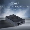 Peakloong HiFi Fever D200P Mono Subwoofer Amplifier TPA3221 High Power
