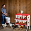 Chicken Nesting Box, 6 Compartment Metal Chicken Nesting Boxes for