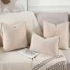Madizz Set of 2 Chenille Velvet Cushion Covers with Edge,