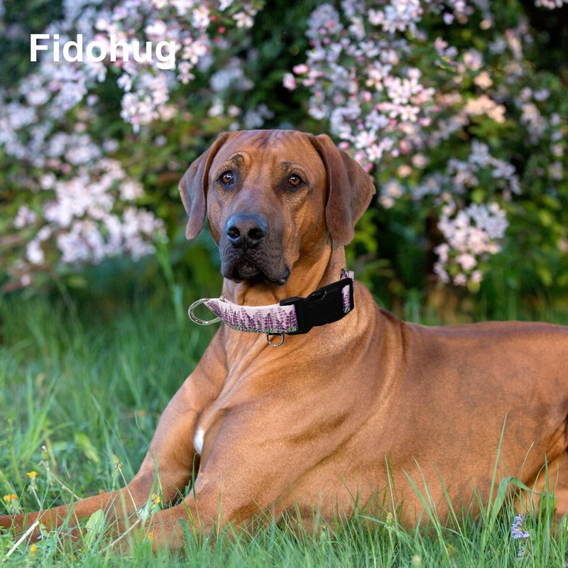 Fidohug Martingale Collar for Dogs with Buckle Floral No Pull