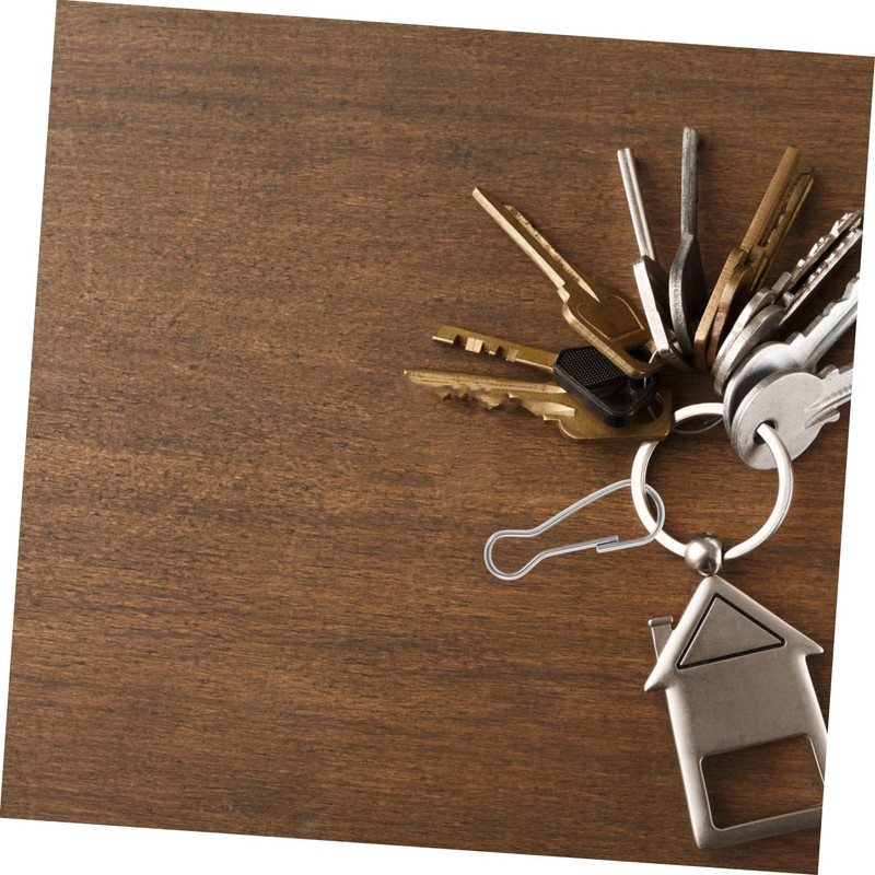 CIYODO 100pcs Stainless Steel Snap Hooks Metal Clip Lanyard Hook